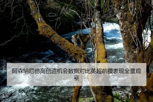 阿森纳厄德高创造机会数据对比英超前腰表现全景观察