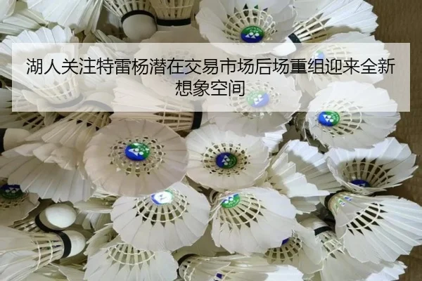 湖人关注特雷杨潜在交易市场后场重组迎来全新想象空间