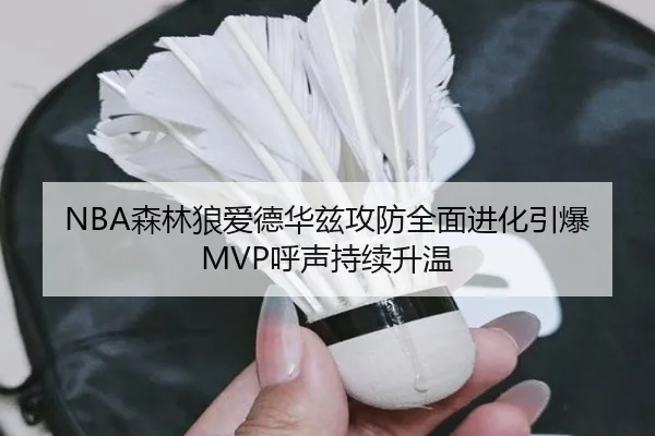 NBA森林狼爱德华兹攻防全面进化引爆MVP呼声持续升温