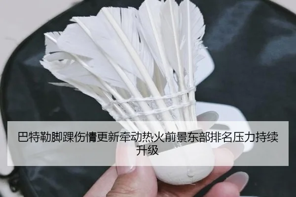 巴特勒脚踝伤情更新牵动热火前景东部排名压力持续升级
